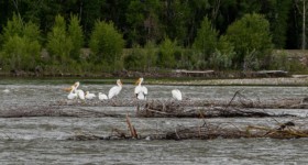 Rafting on the Snake River near Jackson, Wyoming Rafting on the Snake River near Jackson, Wyoming