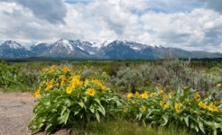 Grand Teton National Park Grand Teton National Park