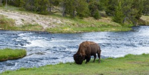 Yellowstone National Park: Midway Geyser Basin Yellowstone National Park: Midway Geyser Basin