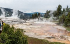 Yellowstone National Park: Mammoth Hot Springs Yellowstone National Park: Mammoth Hot Springs