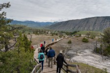 Yellowstone National Park: Mammoth Hot Springs Yellowstone National Park: Mammoth Hot Springs