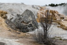 Yellowstone National Park: Mammoth Hot Springs Yellowstone National Park: Mammoth Hot Springs