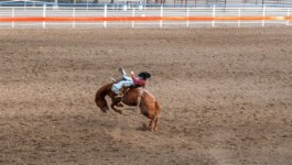 The Cody Rodeo The Cody Rodeo