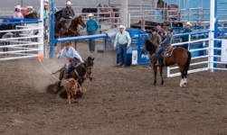 The Cody Rodeo The Cody Rodeo