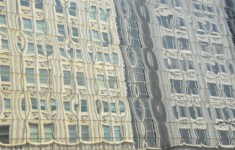 Curves by Kathy Dillon Curves by Kathy Dillon