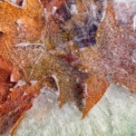 Winter by Buck Myers Winter by Buck Myers