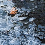 Winter by Luu Nguyen Winter by Luu Nguyen