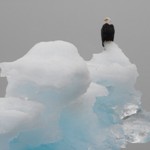 Winter by Richard Martin Winter by Richard Martin