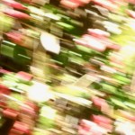 Mary Lu Bednarsky - Spring Color Cacophony Mary Lu Bednarsky - Spring Color Cacophony