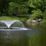 Ray Bednarsky - Water Wonders Ray Bednarsky - Water Wonders