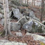 Arline Sachs– November 2020: The picture was taken with an iphone. No changes or cropping was done. Arline Sachs– November 2020: The picture was taken with an iphone. No changes or cropping was done.