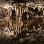 Arline Sachs- Cell Phone Photo Arline Sachs- Cell Phone Photo