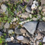 Jona Wheeler - Cell Phone Photo Jona Wheeler - Cell Phone Photo