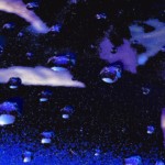 Charlotte Rosenfield – Theme: Raindrops Charlotte Rosenfield – Theme: Raindrops