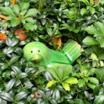 Mary Lu Bednarsky - Vivid Green Mary Lu Bednarsky - Vivid Green