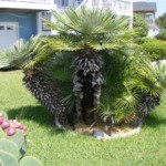 Phil Hodges - Vivid Green Phil Hodges - Vivid Green