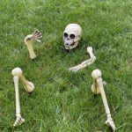 Mary Lu Bednarsky-Grasses Mary Lu Bednarsky-Grasses