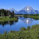 Ray Bednarsky- Grasses Ray Bednarsky- Grasses