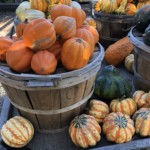 Arlene Gribben-Autumn Arlene Gribben-Autumn