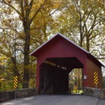 Kathy DIllon-Autumn Kathy DIllon-Autumn