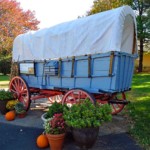 Mary Lu Bednarsky-Autumn Mary Lu Bednarsky-Autumn