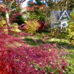 Richard Martin-Autumn Richard Martin-Autumn