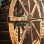 Arlene Gribben - wheels Arlene Gribben - wheels