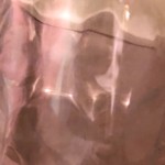 Arlene Gribben – Light shining through a glass Arlene Gribben – Light shining through a glass