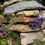 Kathy Dillon - Flowers Kathy Dillon - Flowers