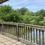 Elizabeth Lonoff - Bridge at Meadowlark Park Elizabeth Lonoff - Bridge at Meadowlark Park