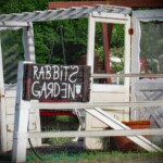 Charlotte Rosenfield - Doors Charlotte Rosenfield - Doors