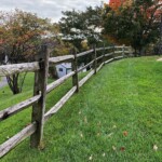 Arline Sachs - Fences Arline Sachs - Fences