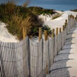 Doug O'Boyle - Fences Doug O'Boyle - Fences