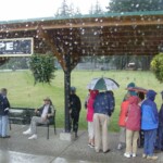 Arlene Gribben - Droplets Arlene Gribben - Droplets