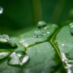 Buck Myers - Droplets Buck Myers - Droplets