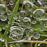 Fritz Ernst - Droplets Fritz Ernst - Droplets