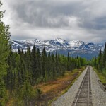 Michael Hamilton - Trees Michael Hamilton - Trees