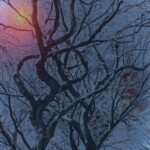 Richard Steelman - Trees Richard Steelman - Trees