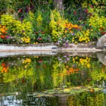 Buck Myers - Reflections Buck Myers - Reflections