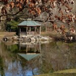 David Drachsler - Reflection David Drachsler - Reflection