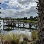 Kathy Dillon - Reflections Kathy Dillon - Reflections