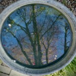 Richard Martin - Reflections Richard Martin - Reflections