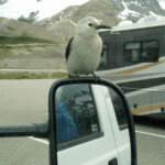 Arline Sachs - Mirrors Arline Sachs - Mirrors