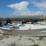 Elizabeth Lonoff - Patterns Elizabeth Lonoff - Patterns