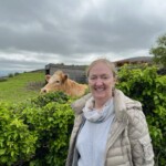 The friendly cow wanted to join Joyce on the tour.
