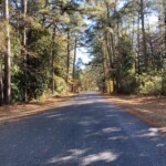 Arline Sachs - Streets & Roads Arline Sachs - Streets & Roads