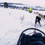 Fritz Ernst - Streets & Roads Fritz Ernst - Streets & Roads