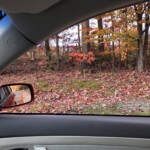 Arlene Gribben - Thru the Window Arlene Gribben - Thru the Window