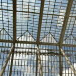 Elizabeht Lonoff - Thru the Window Elizabeht Lonoff - Thru the Window