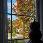 Ray Bednarsky - Thru the Window Ray Bednarsky - Thru the Window